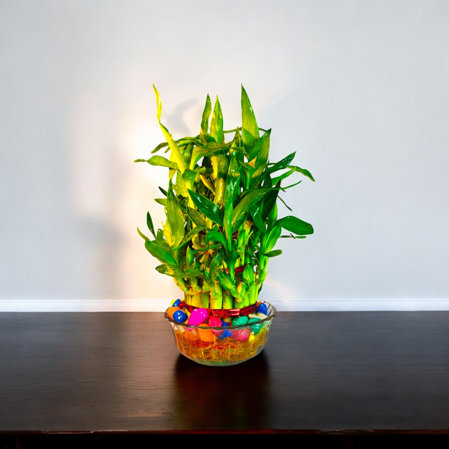 Lucky Bamboo 3 Layer Feng Shui Plant (Green Color) With Bowl | Lucky Bamboo Plant